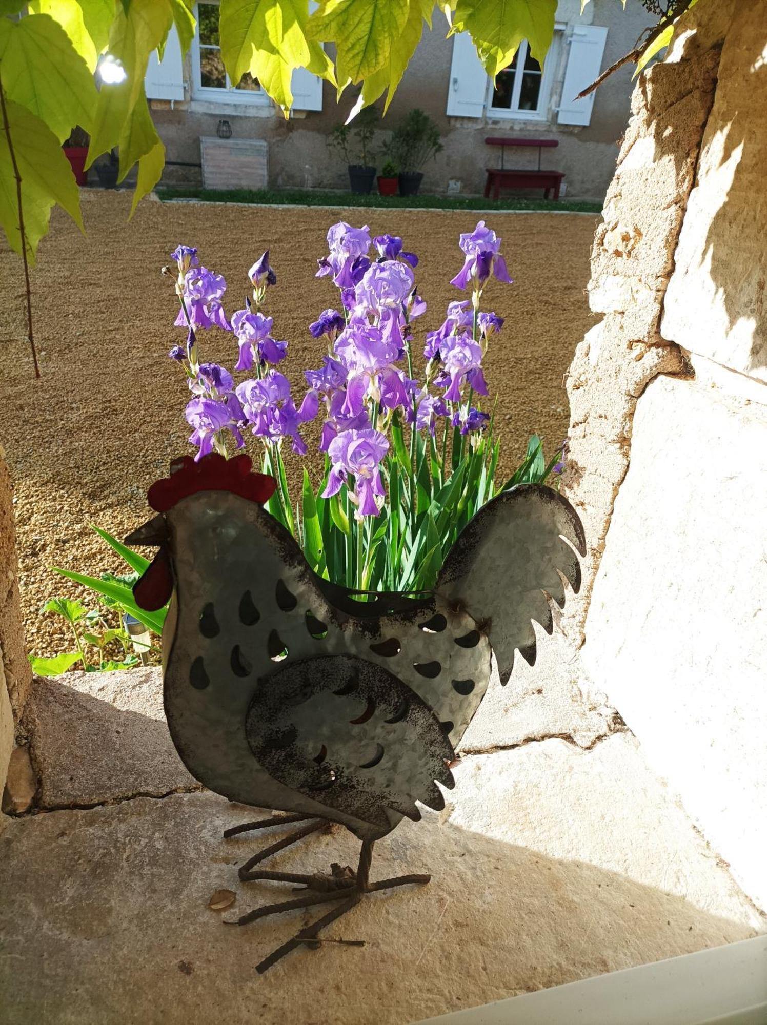Les Iris - Chene Avanton